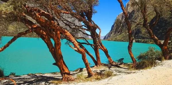 Tours Laguna de Llanganuco - Carhuaz, Yungay, Campo Santo (FULL DAY) - Imagen 4
